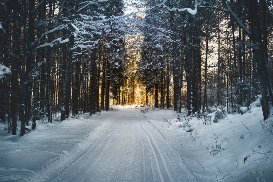 Private Tour: Fancy weekend in Czech Aspen 3