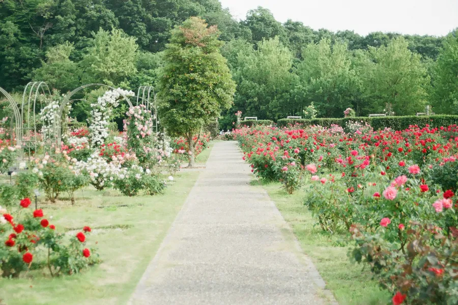 Private Eco Prague: Castle Gardens, Botanical Garden & Wine Tasting 2