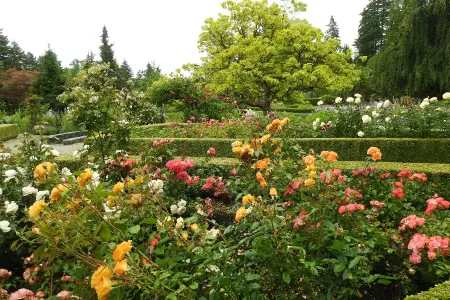 Private Eco Prague: Castle Gardens, Botanical Garden & Wine Tasting