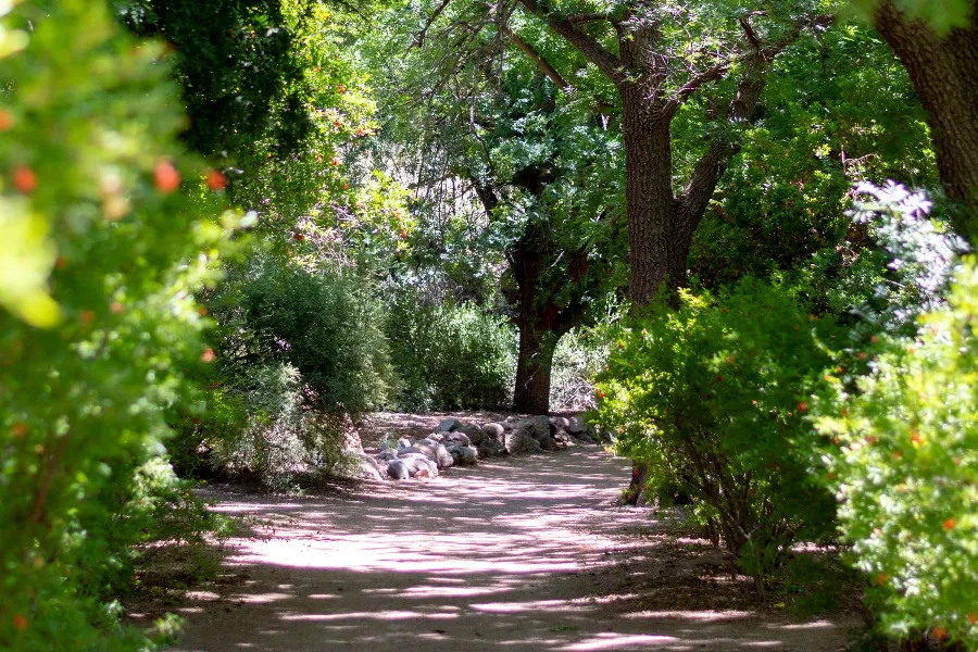Private Eco Prague: Castle Gardens, Botanical Garden & Wine Tasting 3