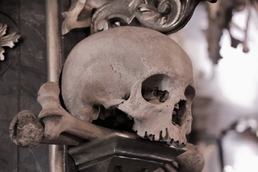 Kutná Hora & Sedlec Ossuary Private Day Trip from Prague 3