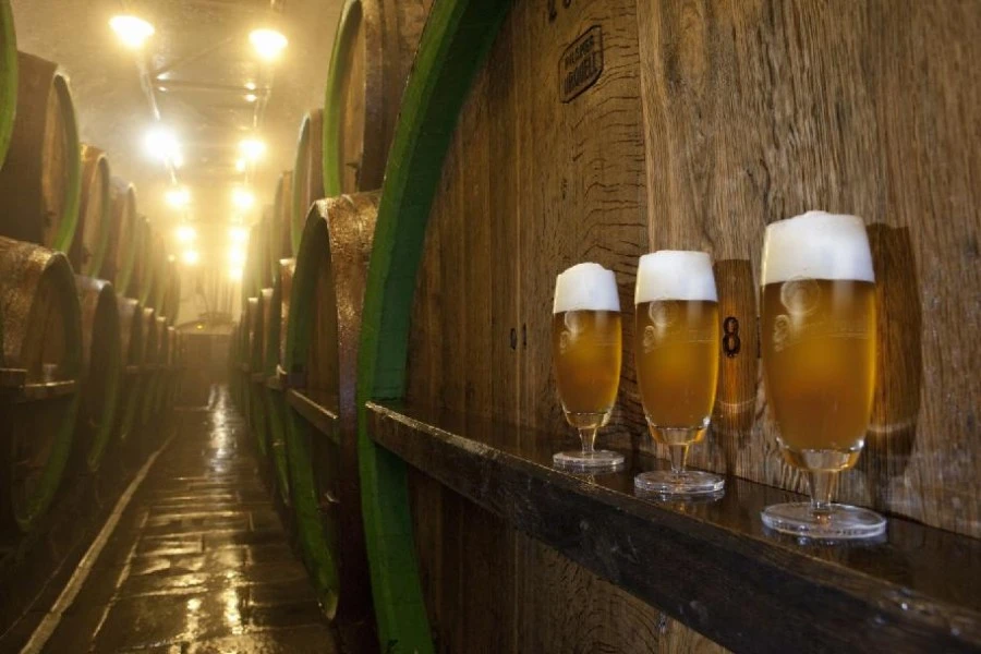 7-Day Private 5-Star Prague & Bohemia Tour 10