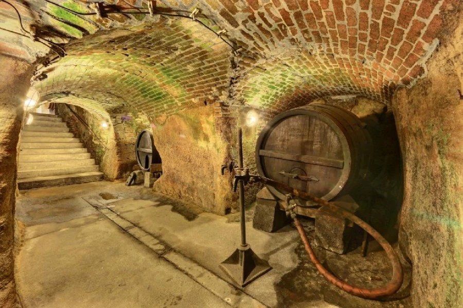 7-Day Private 5-Star Prague & Bohemia Tour 11