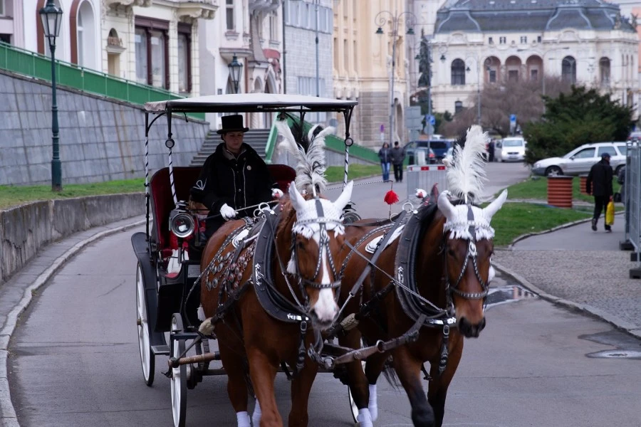 Karlovy Vary Private Day Trip from Prague 4