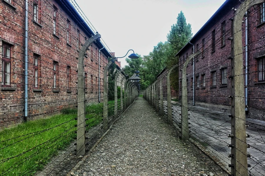 Auschwitz-Birkenau & Kraków Private Day Trip from Prague 1