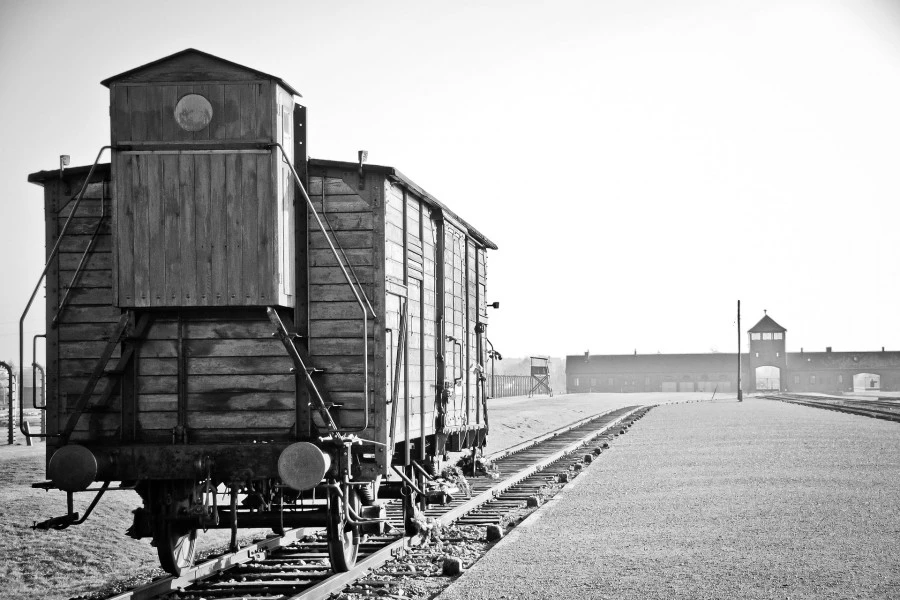 Auschwitz-Birkenau & Kraków Private Day Trip from Prague 2