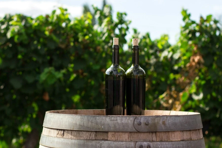 Private Prague Wine Tour 3