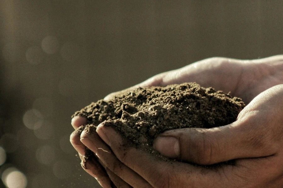 A Day as a Farmer – Private Farm Experience from Prague 4