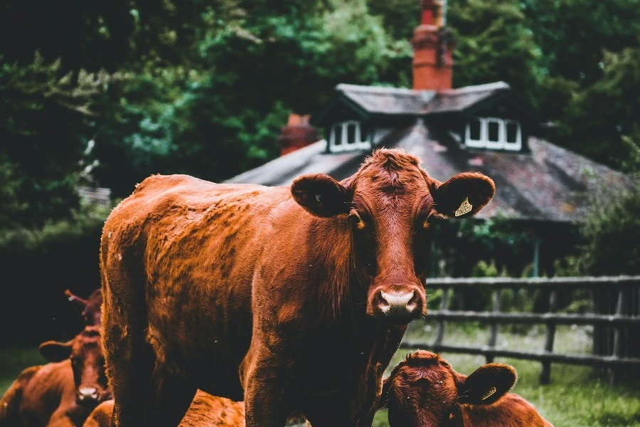 A Day as a Farmer – Private Farm Experience from Prague 6