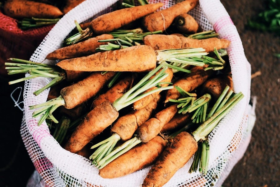 Private Farm & Cheese Tasting Experience near Prague 7