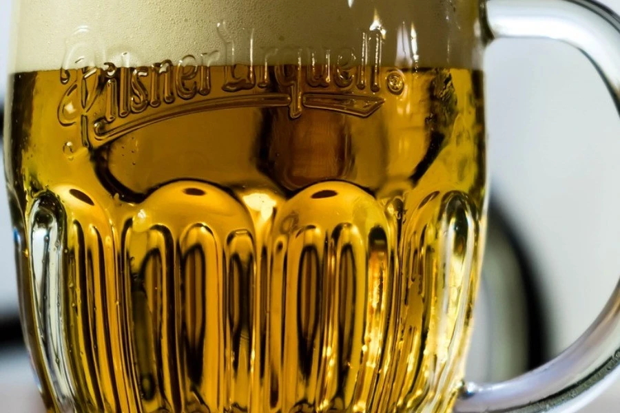 Private Pilsner Urquell Brewery & Pilsen Underground Tour 6
