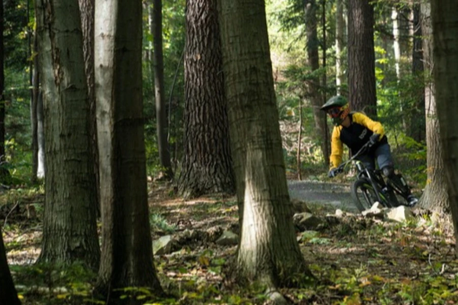 Mountain Bike Skills & Singletrack Experience from Prague 3